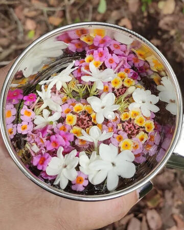 Nilofar Haja (she/her) offers Expressive Arts Workshops, sound meditation and Tibetan sound healing, creative writing retreats and creative exploration workshops for individuals, pairs, groups, and teams, online and in-person.